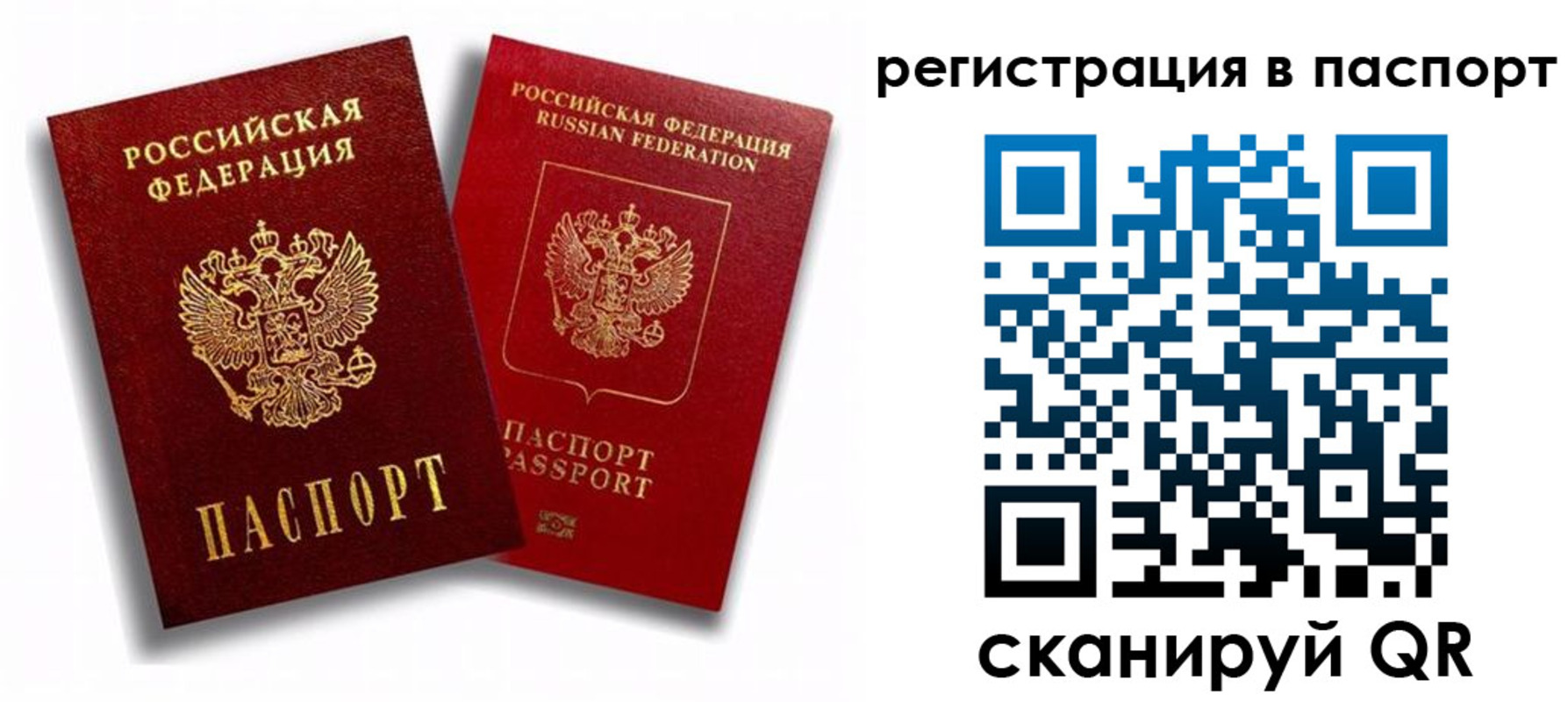 прописка 2025 в Ставрополе